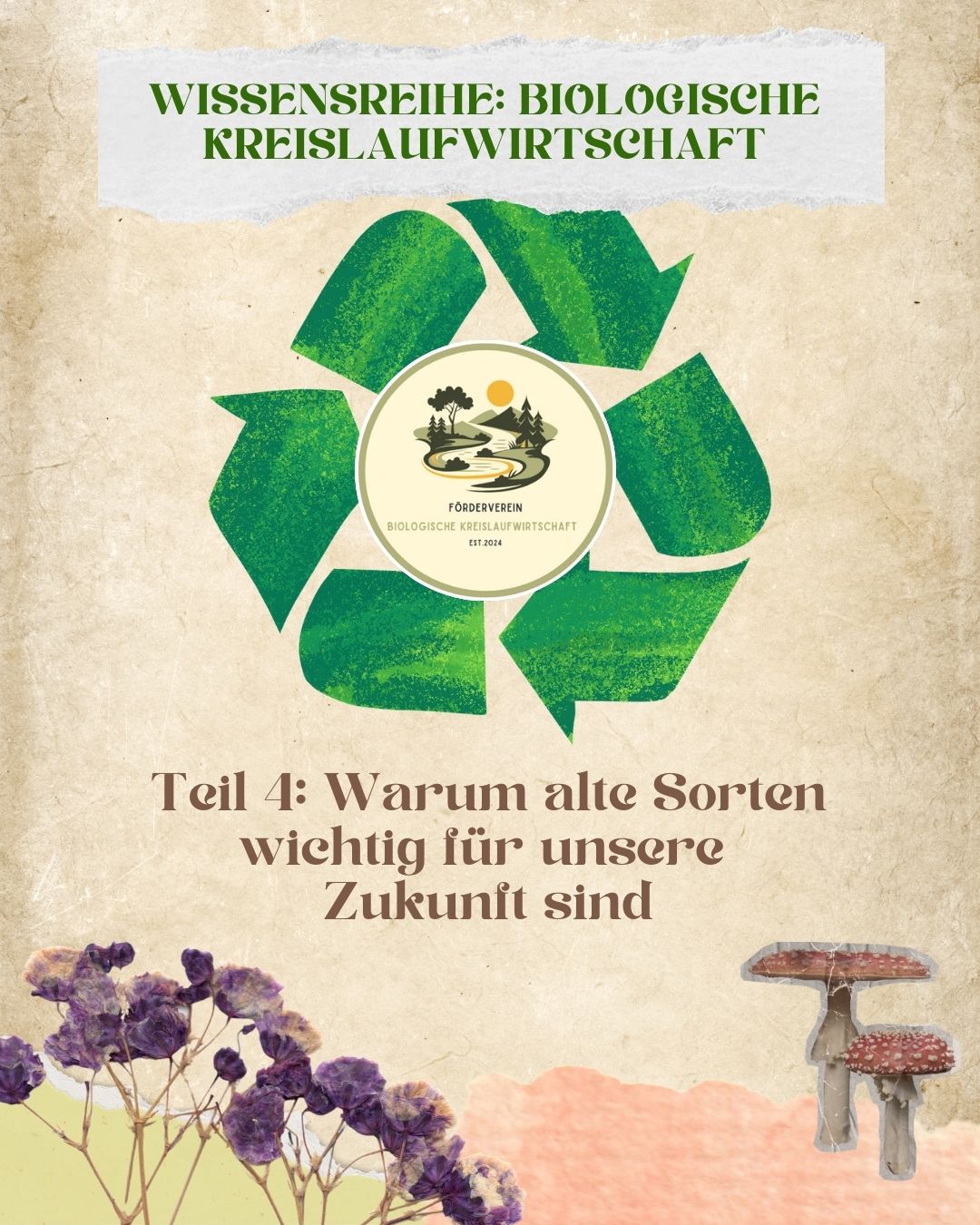 Teil 4: Warum alte Sorten wichtig für unsere Zukunft sind